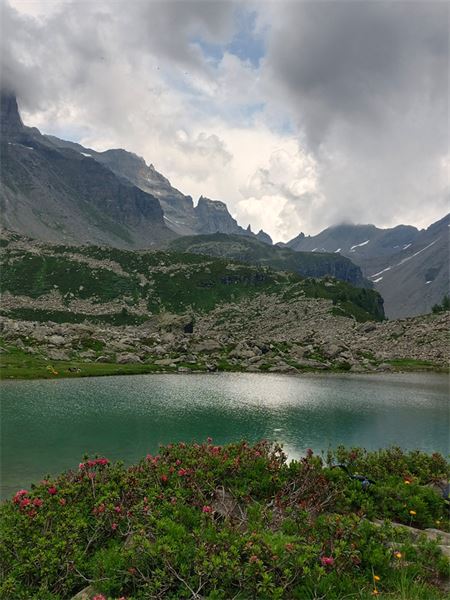 Lago Bianco - Alpe Veglia (VB)