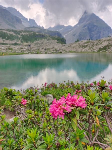 Lago Bianco - Alpe Veglia (VB)