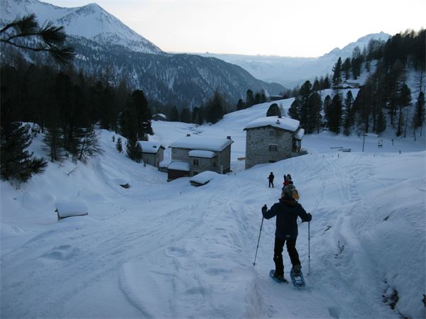 Ciaspolata Notturna Rif. Saoseo (CH)