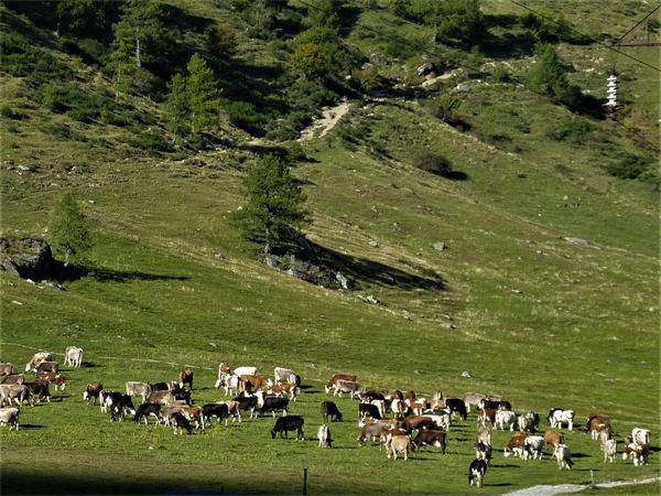 P.zo Tre Signori (LC)