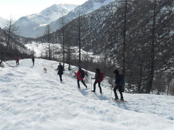 Champoluc (AO)