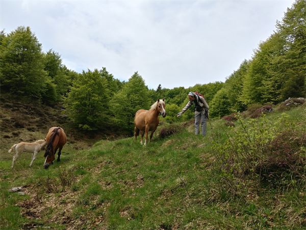 Monte Cancervo - Val Brembana (BG)