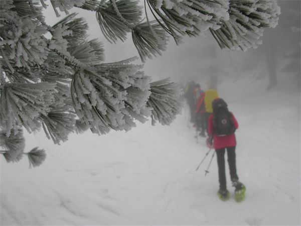 Ciaspolata Notturna Rif. Saoseo (CH)
