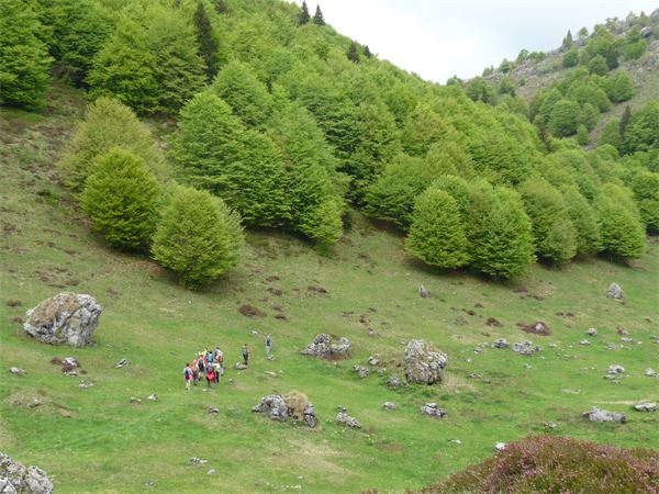 Monte Cancervo - Val Brembana (BG)