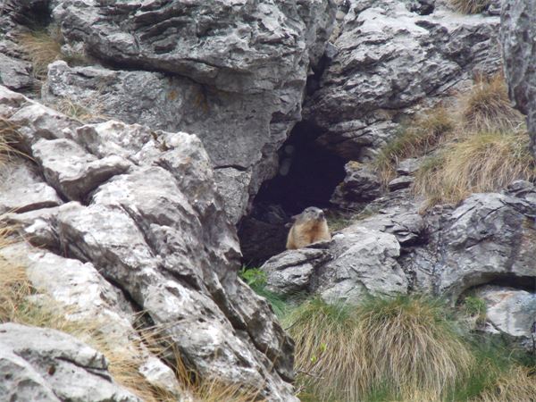 Monte Cancervo - Val Brembana (BG)