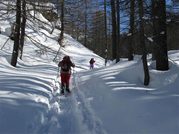 Alpe Devero (VB)