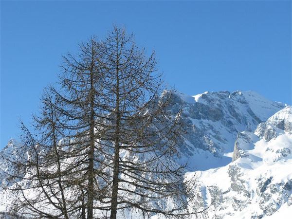 Alpe Devero (VB)