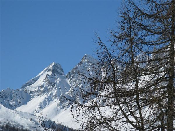 Alpe Devero (VB)
