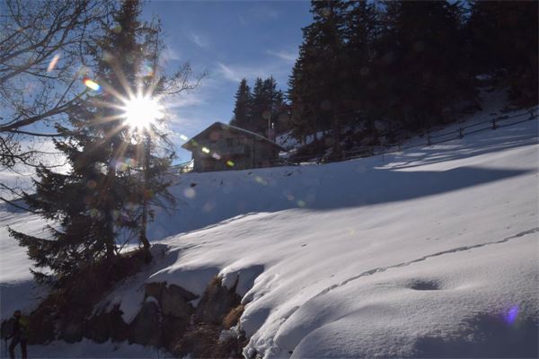 °Alpe Champillon - Valpelline (AO)