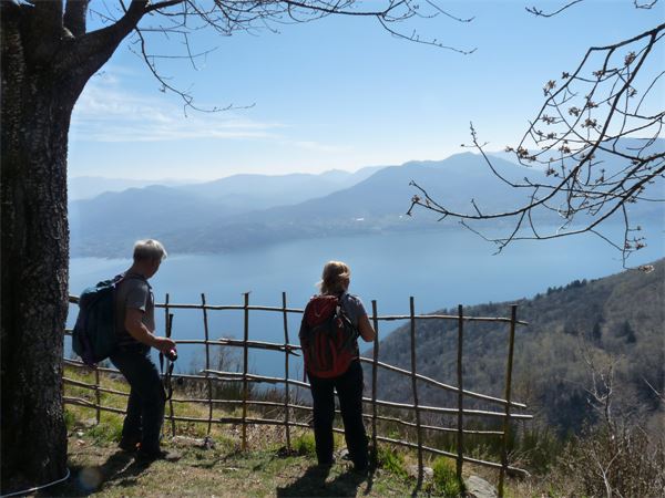 Monte Morissolo (VB)