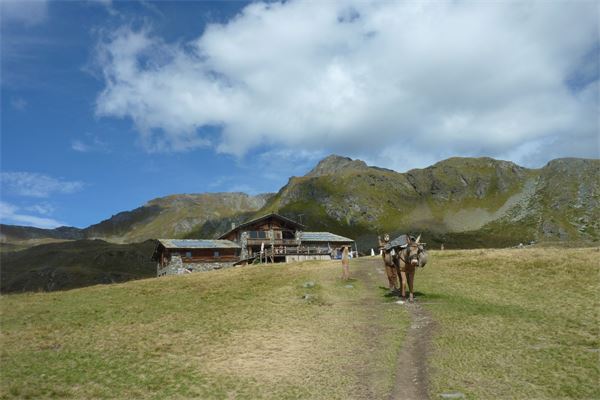 Monte Fellere (AO)/Cai Cusano M.no