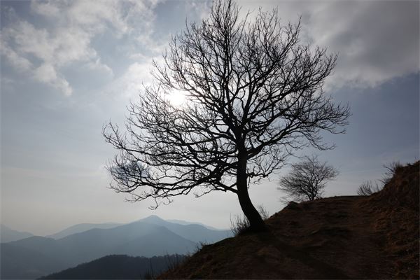 Monte San Primo (LC)