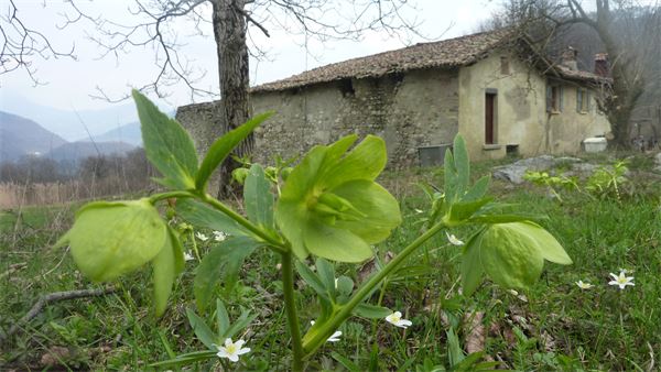Monte Palanzone (CO)