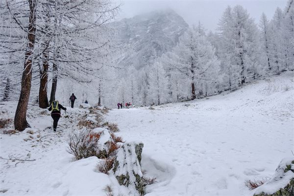 MONTE CAZZOLA - Alpe Devero (VB)