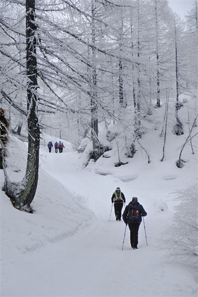MONTE CAZZOLA - Alpe Devero (VB)