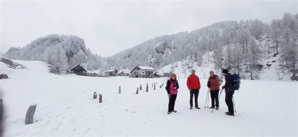 MONTE CAZZOLA - Alpe Devero (VB)