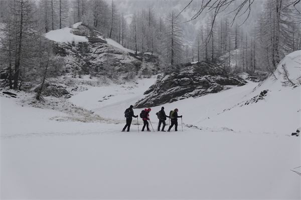 MONTE CAZZOLA - Alpe Devero (VB)