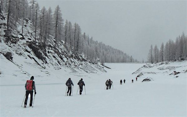 MONTE CAZZOLA - Alpe Devero (VB)