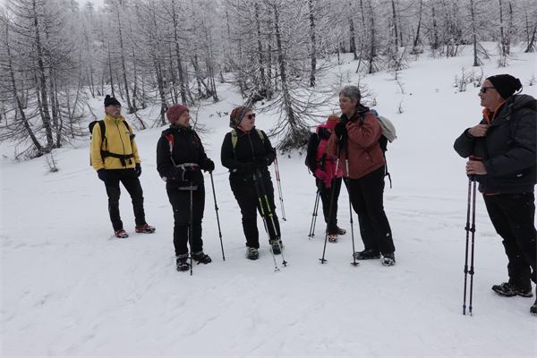 MONTE CAZZOLA - Alpe Devero (VB)