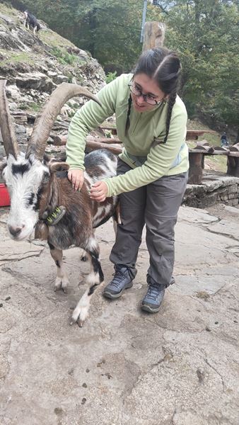 Giro degli alpeggi Omegnesi - Omegna (VB)