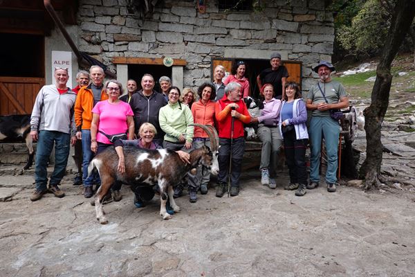 Giro degli alpeggi Omegnesi - Omegna (VB)