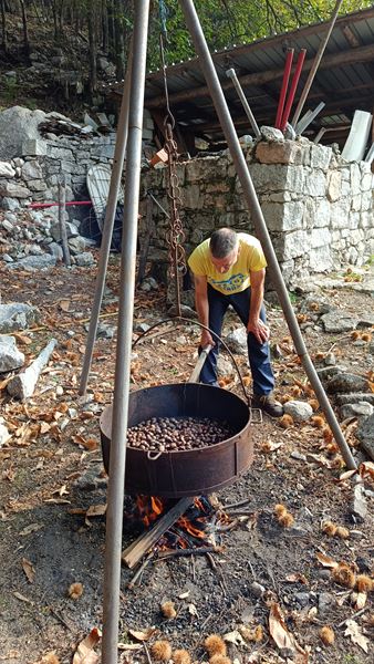 Giro degli alpeggi Omegnesi - Omegna (VB)