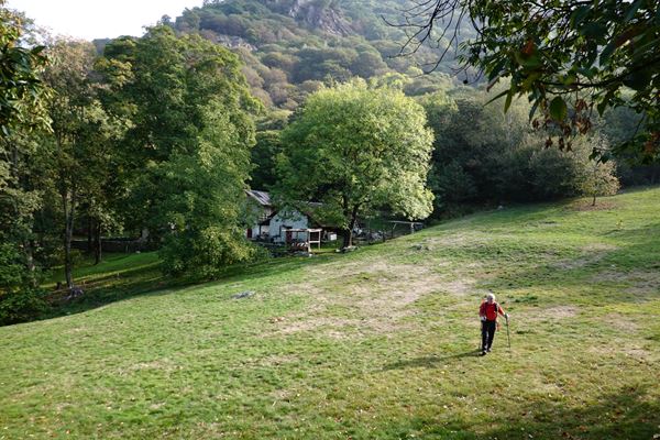 Giro degli alpeggi Omegnesi - Omegna (VB)