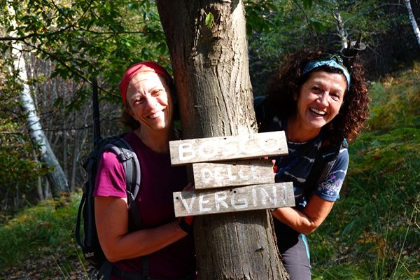 Giro degli alpeggi Omegnesi - Omegna (VB)