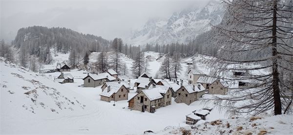 MONTE CAZZOLA - Alpe Devero (VB)