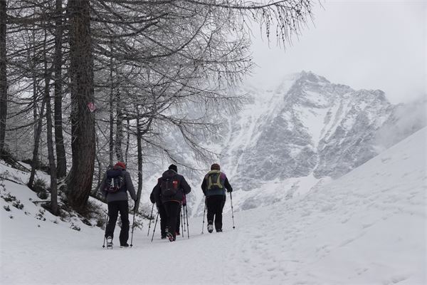MONTE CAZZOLA - Alpe Devero (VB)