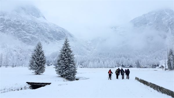 MONTE CAZZOLA - Alpe Devero (VB)