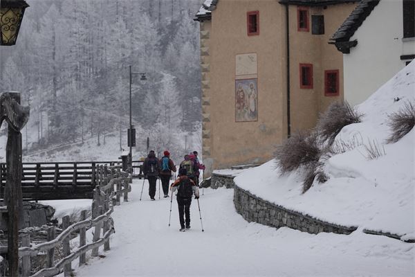 MONTE CAZZOLA - Alpe Devero (VB)