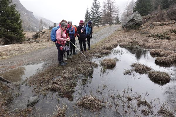 BORMIO E DINTORNI (SO)