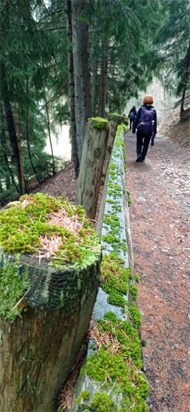 BORMIO E DINTORNI (SO)