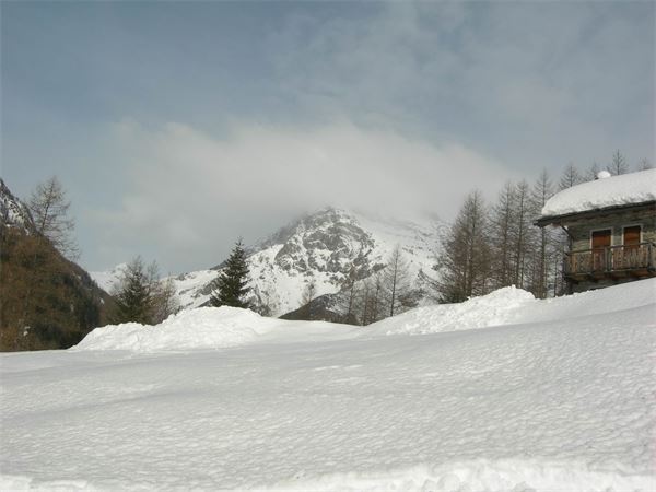 ALPE ENTOVA - VALMALENCO (SO)