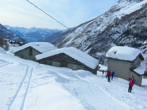 ALPE ENTOVA - VALMALENCO (SO)