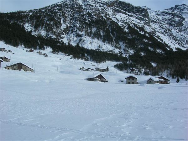 ALPE ENTOVA - VALMALENCO (SO)