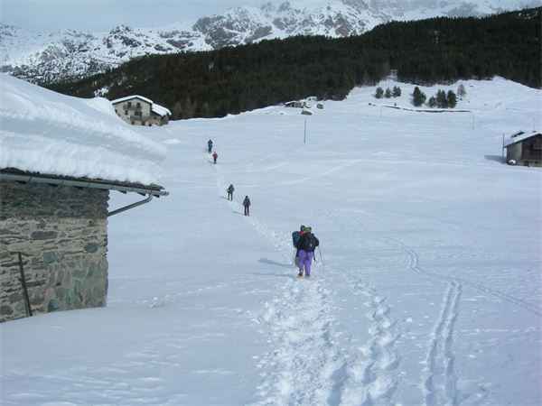 ALPE ENTOVA - VALMALENCO (SO)