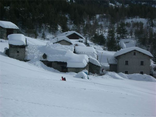 ALPE ENTOVA - VALMALENCO (SO)