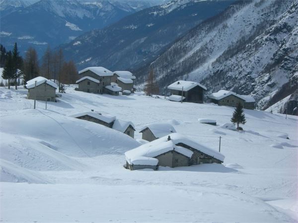 ALPE ENTOVA - VALMALENCO (SO)