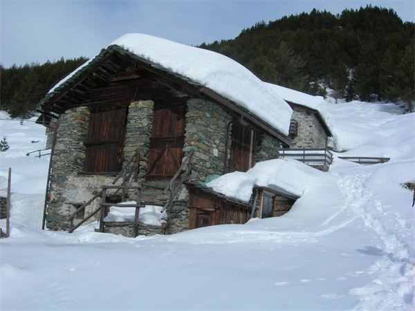 ALPE ENTOVA - VALMALENCO (SO)