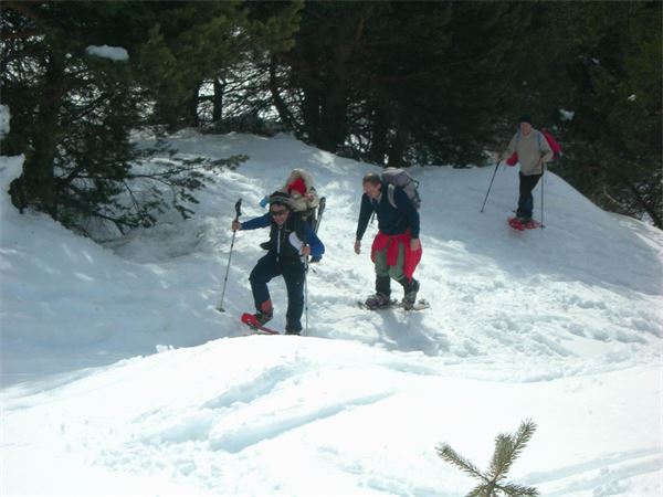 ALPE ENTOVA - VALMALENCO (SO)