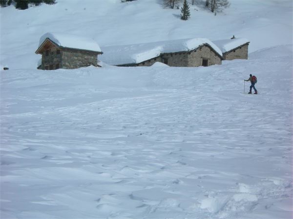 ALPE ENTOVA - VALMALENCO (SO)