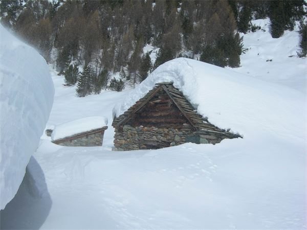 ALPE ENTOVA - VALMALENCO (SO)
