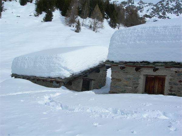 ALPE ENTOVA - VALMALENCO (SO)