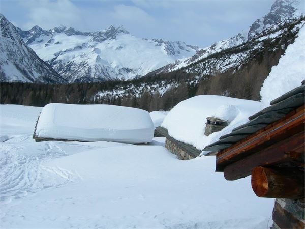 ALPE ENTOVA - VALMALENCO (SO)