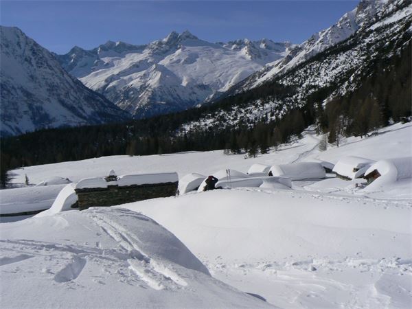 ALPE ENTOVA - VALMALENCO (SO)