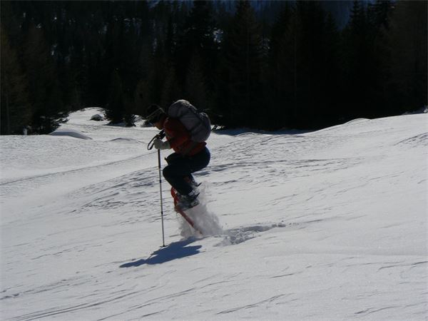 ALPE ENTOVA - VALMALENCO (SO)