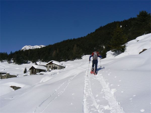 ALPE ENTOVA - VALMALENCO (SO)