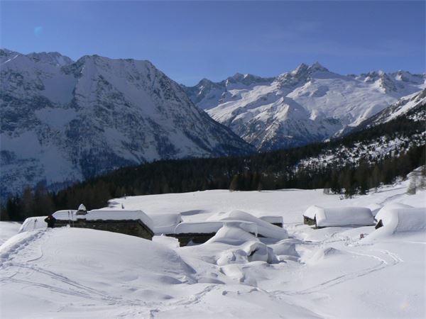ALPE ENTOVA - VALMALENCO (SO)